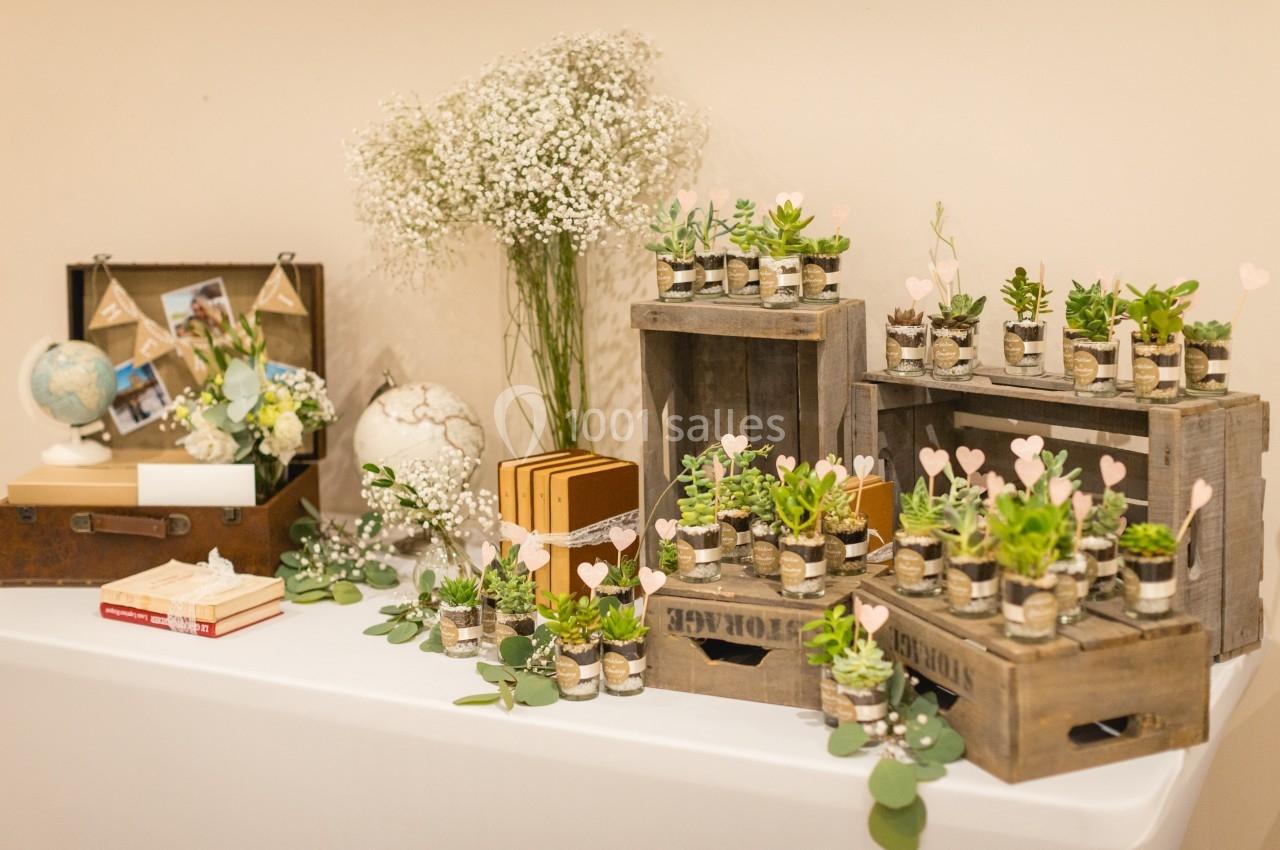 Arrangement de petites plantes en pots sur des caisses en bois, décoré avec des fleurs et des objets vintage.