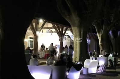 Miniature Location salle Saint-Martin-de-Crau (Bouches-du-Rhône) - Château De Vergières #19 Location salle Saint-Martin-de-Crau (Bouches-du-Rhône) - Château De Vergières #19