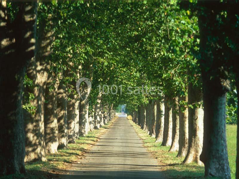 Location salle Saint-Martin-de-Crau (Bouches-du-Rhône) - Château De Vergières #6