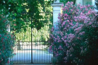 Miniature Location salle Saint-Martin-de-Crau (Bouches-du-Rhône) - Château De Vergières #7 Location salle Saint-Martin-de-Crau (Bouches-du-Rhône) - Château De Vergières #19