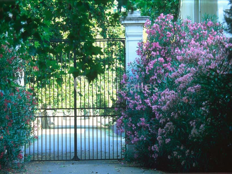 Location salle Saint-Martin-de-Crau (Bouches-du-Rhône) - Château De Vergières #7