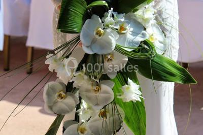 Location salle Castelnaud-la-Chapelle (Dordogne) - Parc Joséphine Baker #25