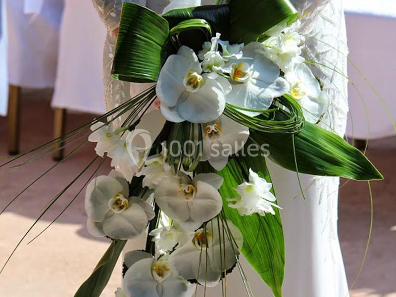 Location salle Castelnaud-la-Chapelle (Dordogne) - Parc Joséphine Baker #14