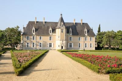 Façade d'un château avec une tour centrale et des fenêtres, entouré de végétation.