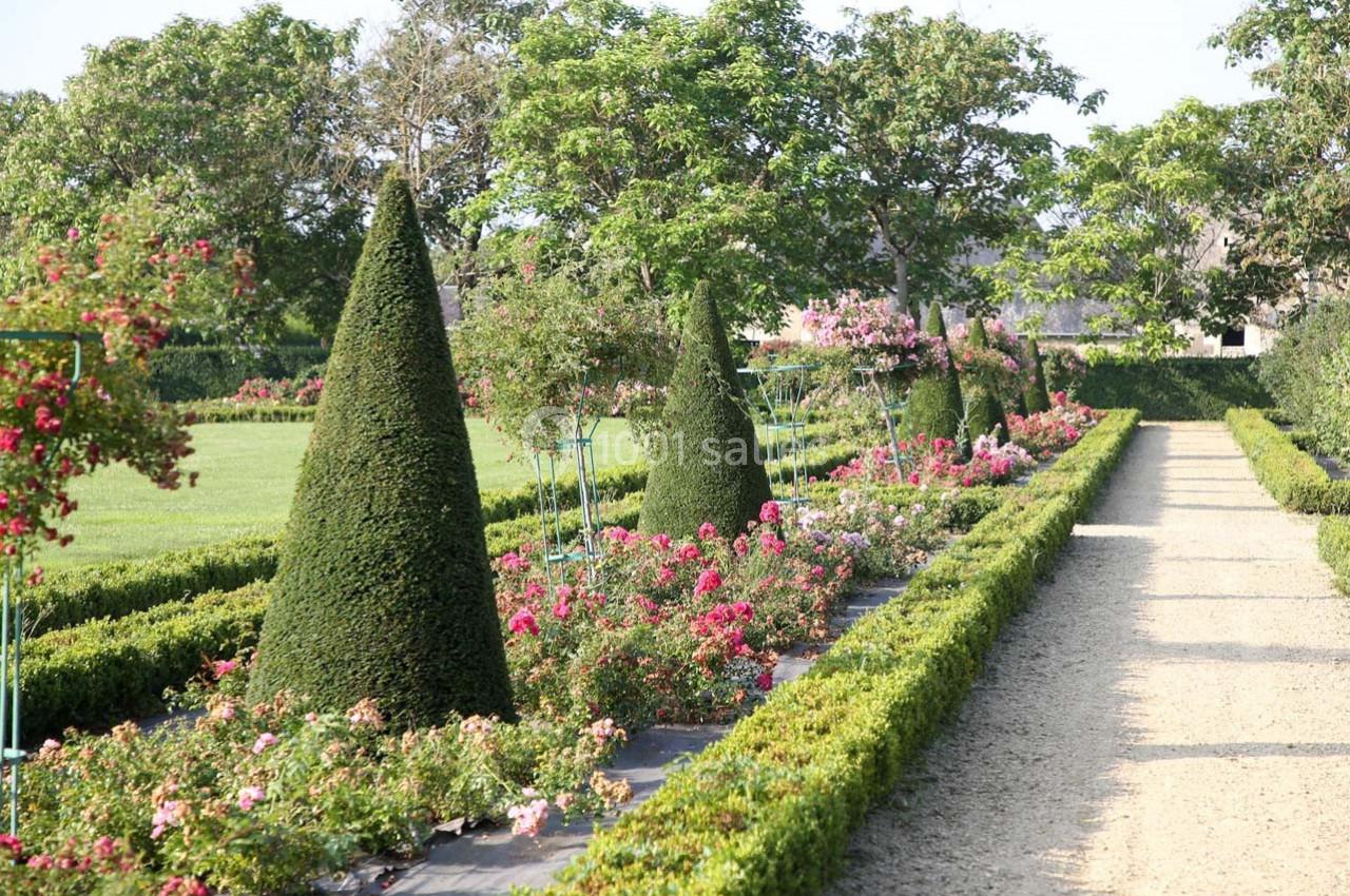 Allée de jardin bordée de buissons taillés en cônes, entourée de fleurs colorées et d'arbres verdoyants.