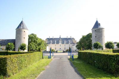 Façade d'un château avec une tour centrale et des fenêtres, entouré de végétation.