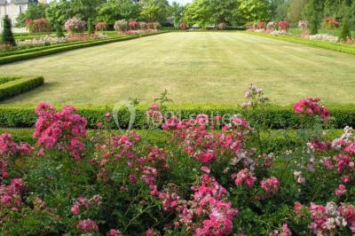 Façade d'un château avec une tour centrale et des fenêtres, entouré de végétation.
