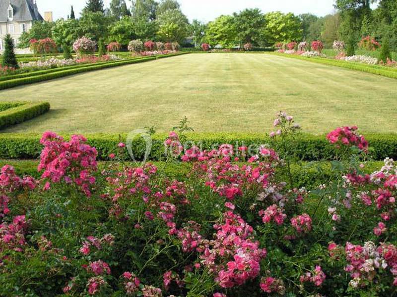 Jardin avec pelouse centrale, bordé de haies taillées et parterres de fleurs roses sous un ciel dégagé.