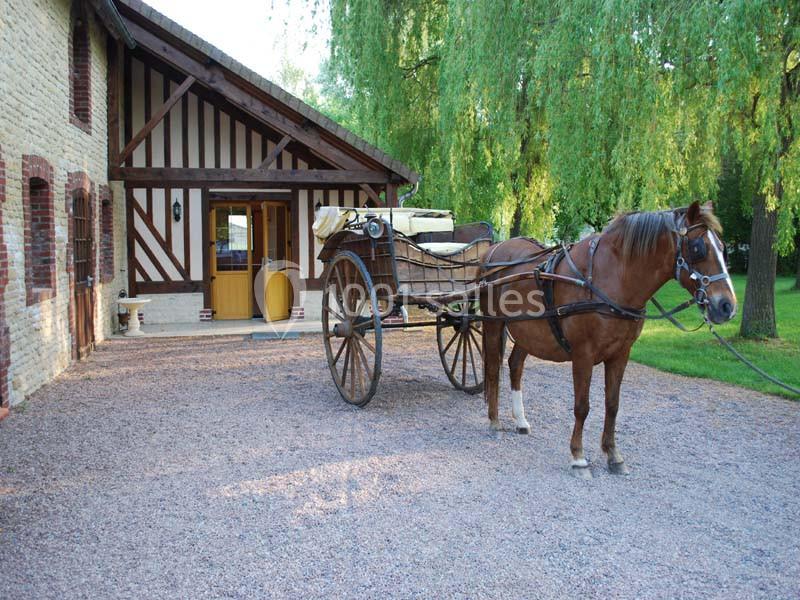 Location salle Vieux-Fumé (Calvados) - La Bergerie Le Doux Marais #21