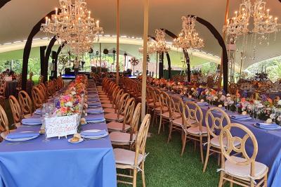 Location salle Mouans-Sartoux (Alpes-Maritimes) - Domaine de la Mourachonne #28