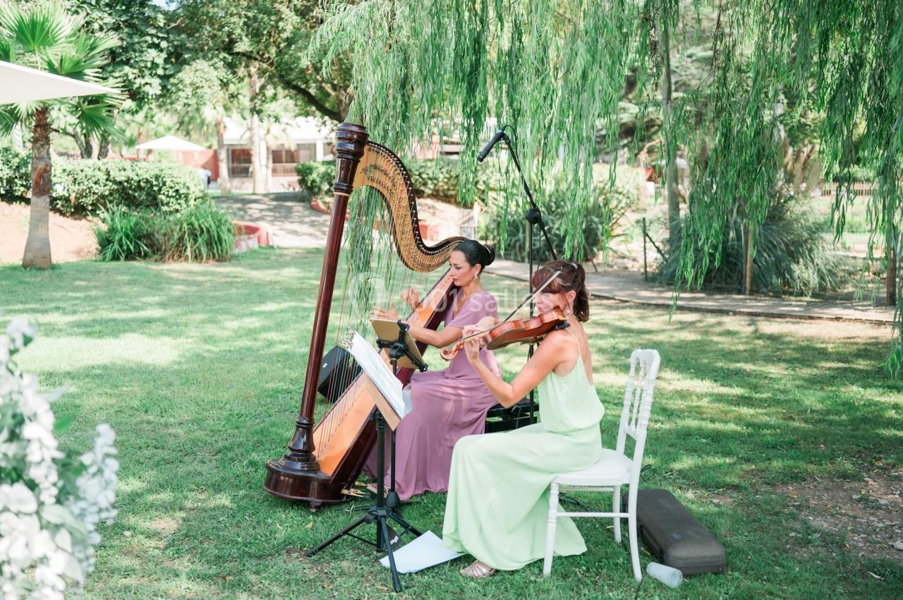 Location salle Mouans-Sartoux (Alpes-Maritimes) - Domaine de la Mourachonne #16