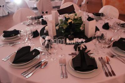 Location salle Castelnaud-la-Chapelle (Dordogne) - Parc Joséphine Baker #26