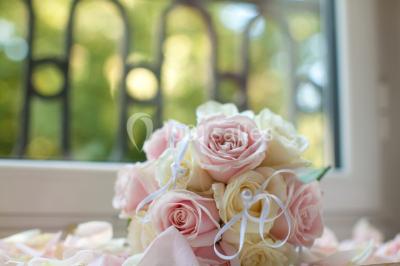 Allée bordée d'arbustes menant à une grande maison entourée d'arbres, capturée en noir et blanc.