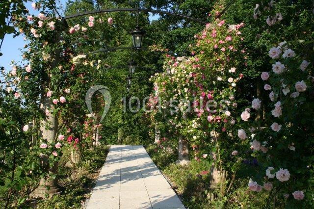 Allée pavée bordée d'arches métalliques couvertes de rosiers fleuris, entourée de verdure.