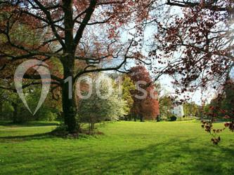 Un parc verdoyant avec des arbres aux feuillages colorés sous un ciel dégagé.