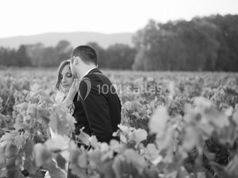 Location salle Pierrefeu-du-Var (Var) - Château De L'aumerade - Pavillon Sully #11