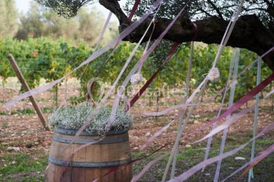 Location salle Pierrefeu-du-Var (Var) - Château De L'aumerade - Pavillon Sully #22