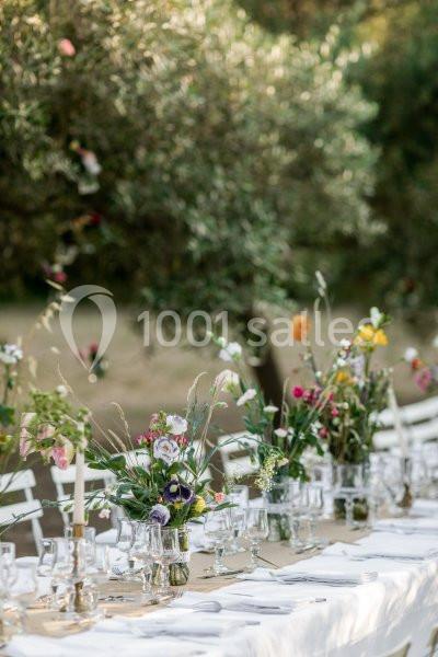 Location salle Pierrefeu-du-Var (Var) - Château De L'aumerade - Pavillon Sully #5