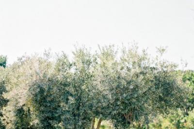 Location salle Pierrefeu-du-Var (Var) - Château De L'aumerade - Pavillon Sully #22