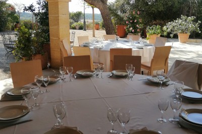 Cour extérieure ensoleillée avec des plantes en pots, des chaises en métal et un bâtiment à toit de tuiles en arrière-plan.