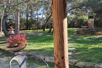 Cour extérieure ensoleillée avec des plantes en pots, des chaises en métal et un bâtiment à toit de tuiles en arrière-plan.