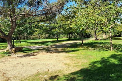 Cour extérieure ensoleillée avec des plantes en pots, des chaises en métal et un bâtiment à toit de tuiles en arrière-plan.