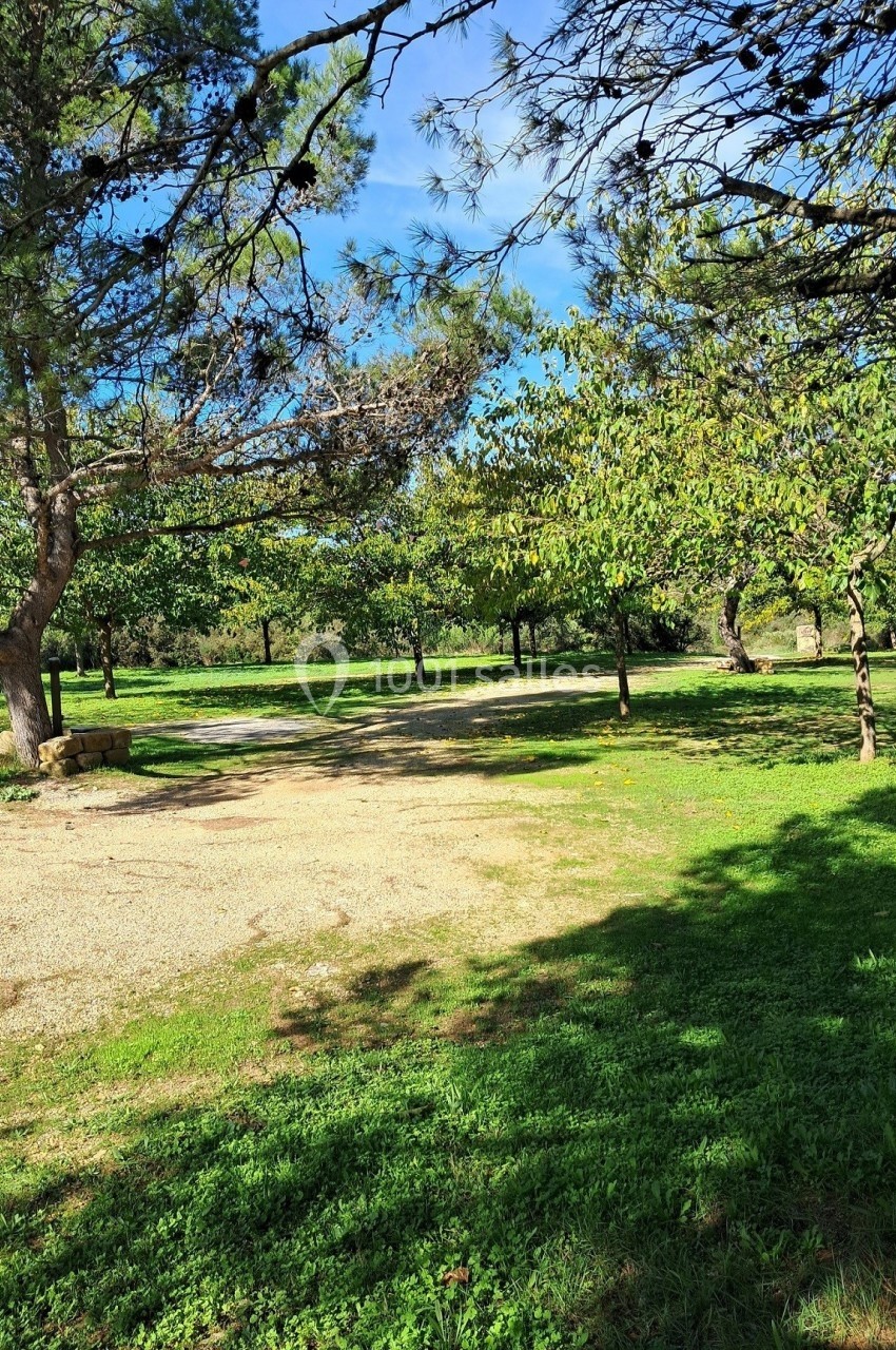 Allée ombragée bordée d'arbres dans un parc verdoyant sous un ciel bleu.