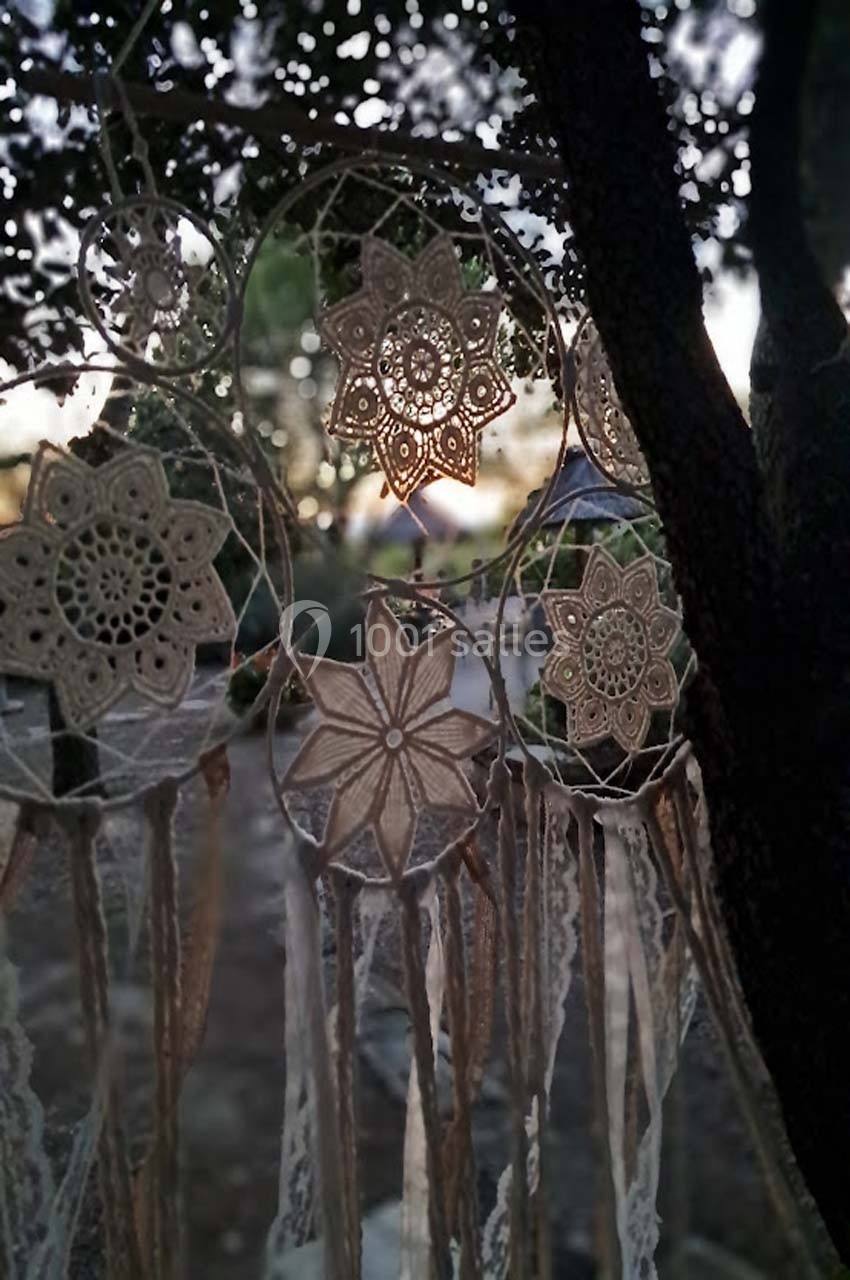 Attrape-rêves en dentelle suspendu à un arbre, éclairé par une lumière douce au milieu d'un environnement naturel.