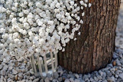 Cour extérieure ensoleillée avec des plantes en pots, des chaises en métal et un bâtiment à toit de tuiles en arrière-plan.