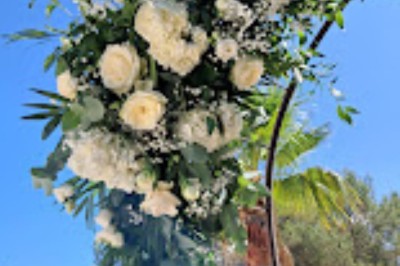 Cour extérieure ensoleillée avec des plantes en pots, des chaises en métal et un bâtiment à toit de tuiles en arrière-plan.