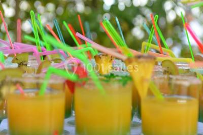 Cour extérieure ensoleillée avec des plantes en pots, des chaises en métal et un bâtiment à toit de tuiles en arrière-plan.