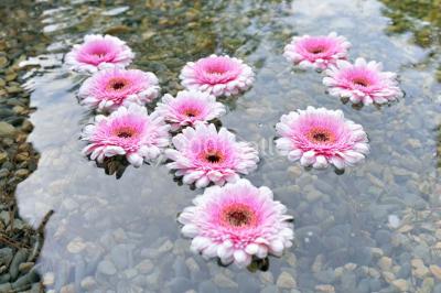 Cour extérieure ensoleillée avec des plantes en pots, des chaises en métal et un bâtiment à toit de tuiles en arrière-plan.