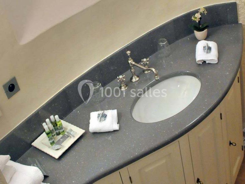 Lavabo encastré dans un plan de travail gris, entouré de serviettes pliées, produits de toilette et une plante décorative.