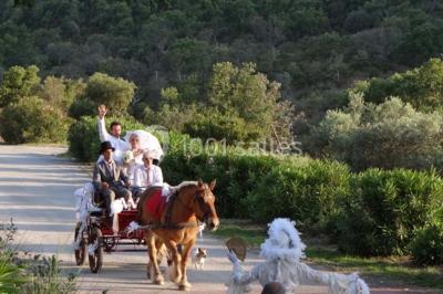 Location salle Roquebrune-sur-Argens (Var) - Domaine Des Planes #22