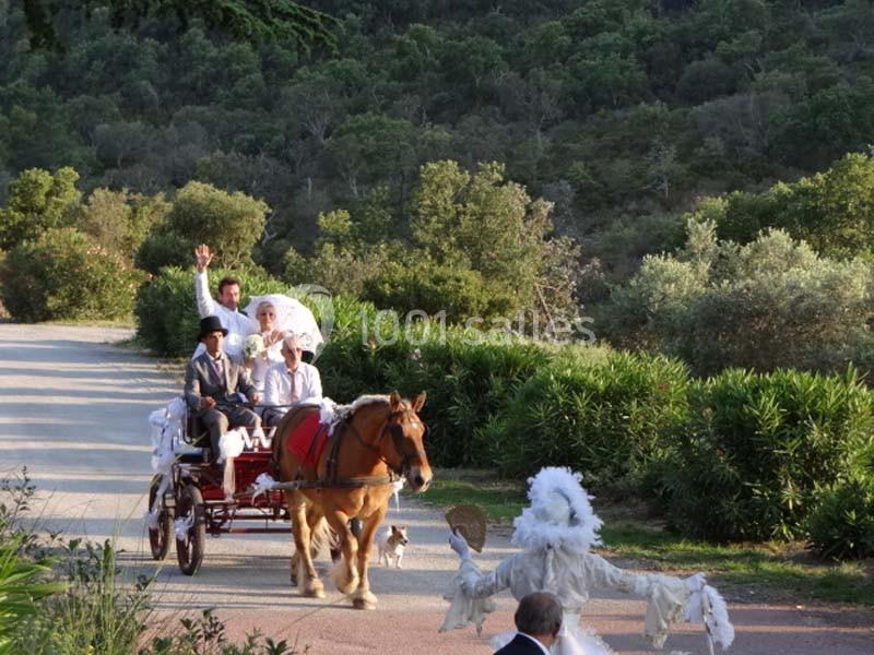 Location salle Roquebrune-sur-Argens (Var) - Domaine Des Planes #9