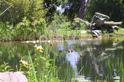 Location salle Roquebrune-sur-Argens (Var) - Domaine Des Planes #22