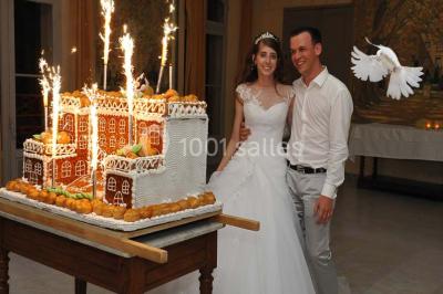 Location salle Salon-de-Provence (Bouches-du-Rhône) - Château De Richebois #24