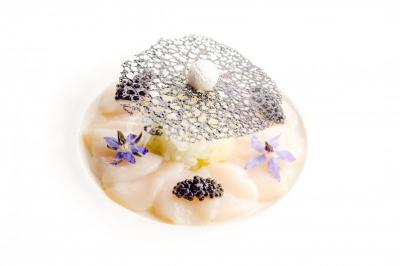 Comptoir de réception en bois avec étagères éclairées contenant des bouteilles et des verres, décoré de plantes séchées.