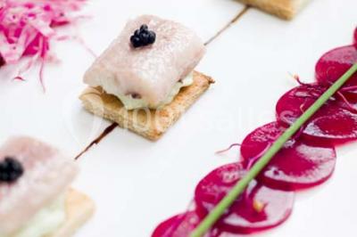 Comptoir de réception en bois avec étagères éclairées contenant des bouteilles et des verres, décoré de plantes séchées.