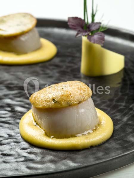 Noix de Saint-Jacques poêlée sur purée crémeuse, garnie d'herbes et présentée sur une assiette noire élégante.