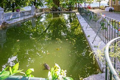 Vue sur un lac entouré de collines verdoyantes à travers une fenêtre ouverte avec des volets en bois.