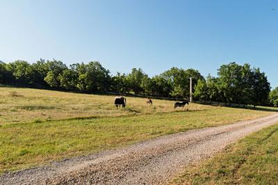 Vue sur un lac entouré de collines verdoyantes à travers une fenêtre ouverte avec des volets en bois.