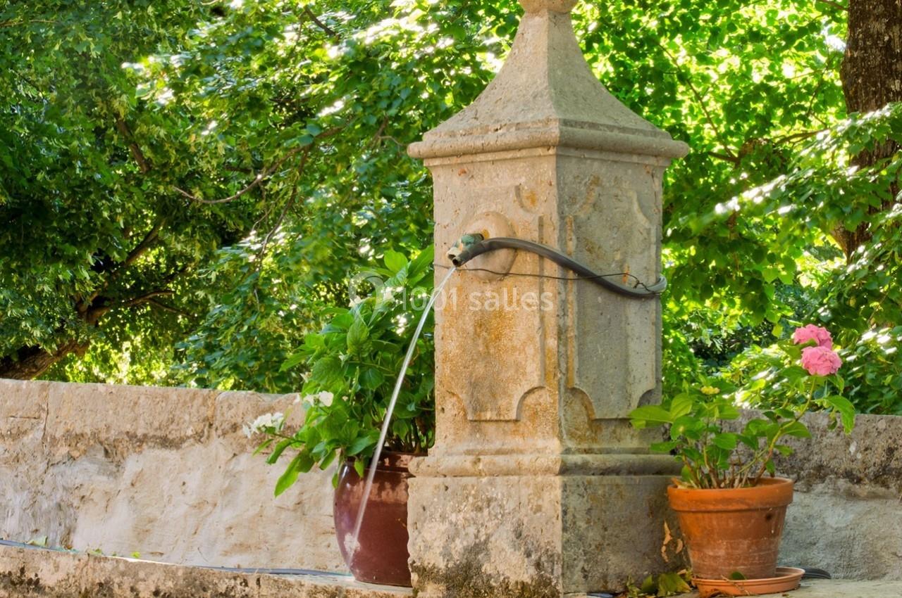 Fontaine en pierre ancienne avec un bec verseur, entourée de pots de fleurs, dans un cadre verdoyant.
