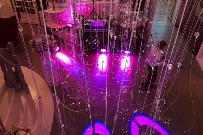 Guirlandes lumineuses suspendues dans une salle éclairée par des lumières roses et violettes, avec des décorations florales.