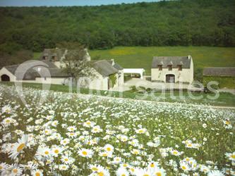 Location salle Savigny-lès-Beaune (Côte-d'Or) - Le Hameau De Barboron #4