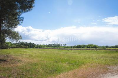 Location salle Arsac (Gironde) - Domaine De La Grange De Soubeyran #17