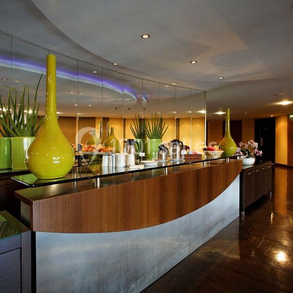 Location salle Le Mesnil-Amelot (Seine-et-Marne) - Radisson Blu Hôtel, Paris Charles De Gaulle Airport #17