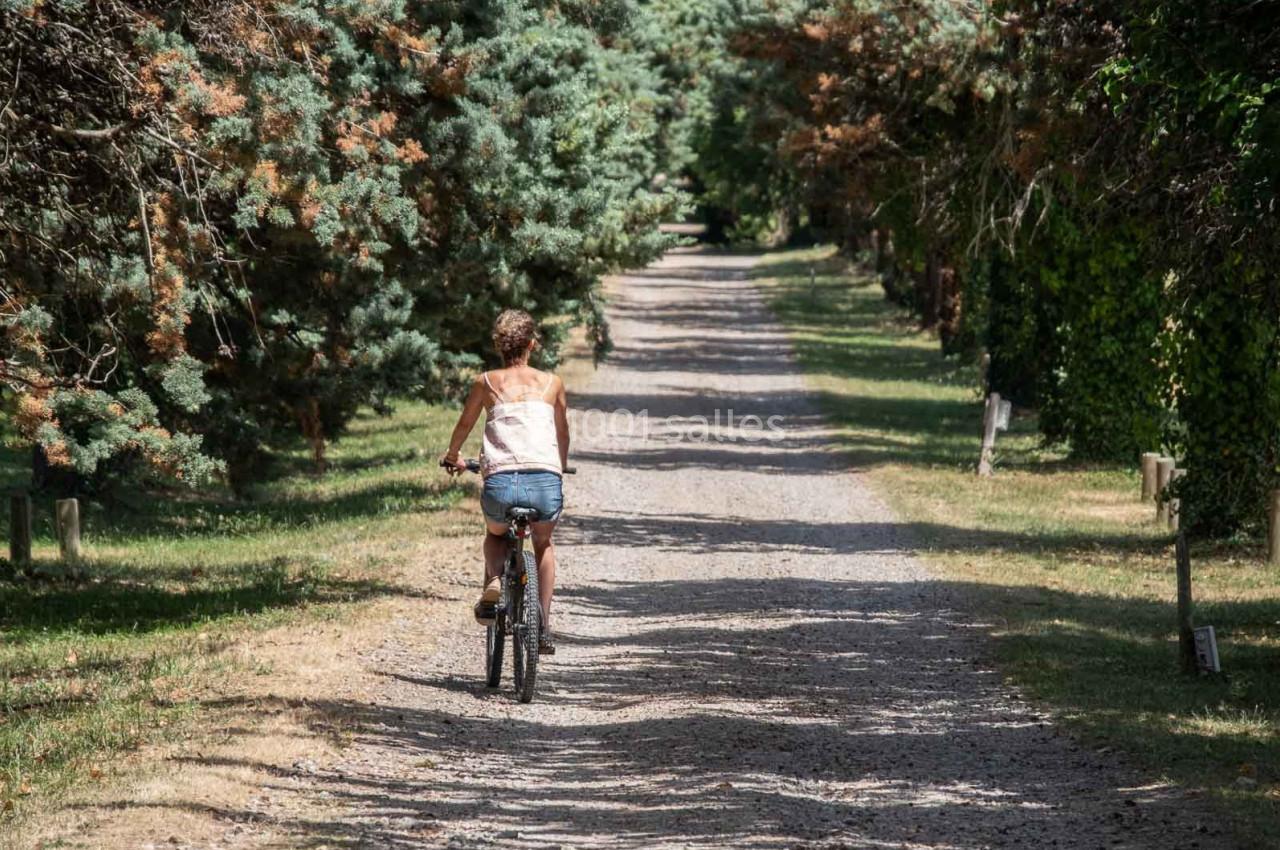 Une femme roule à vélo sur un chemin de gravier bordé d'arbres et de végétation.