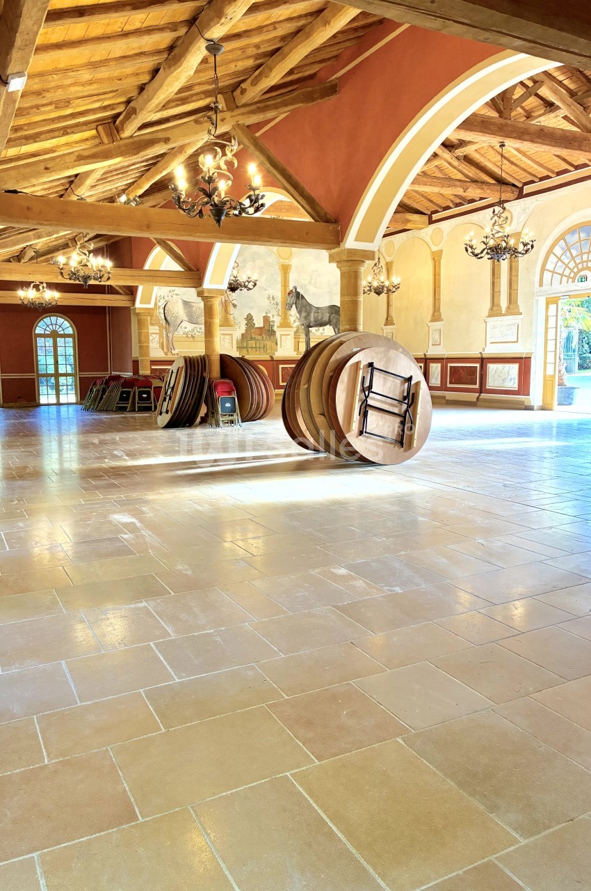 Château De Chavagneux - galerie - photo 22