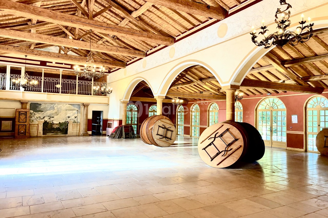 Château De Chavagneux - galerie - photo 23